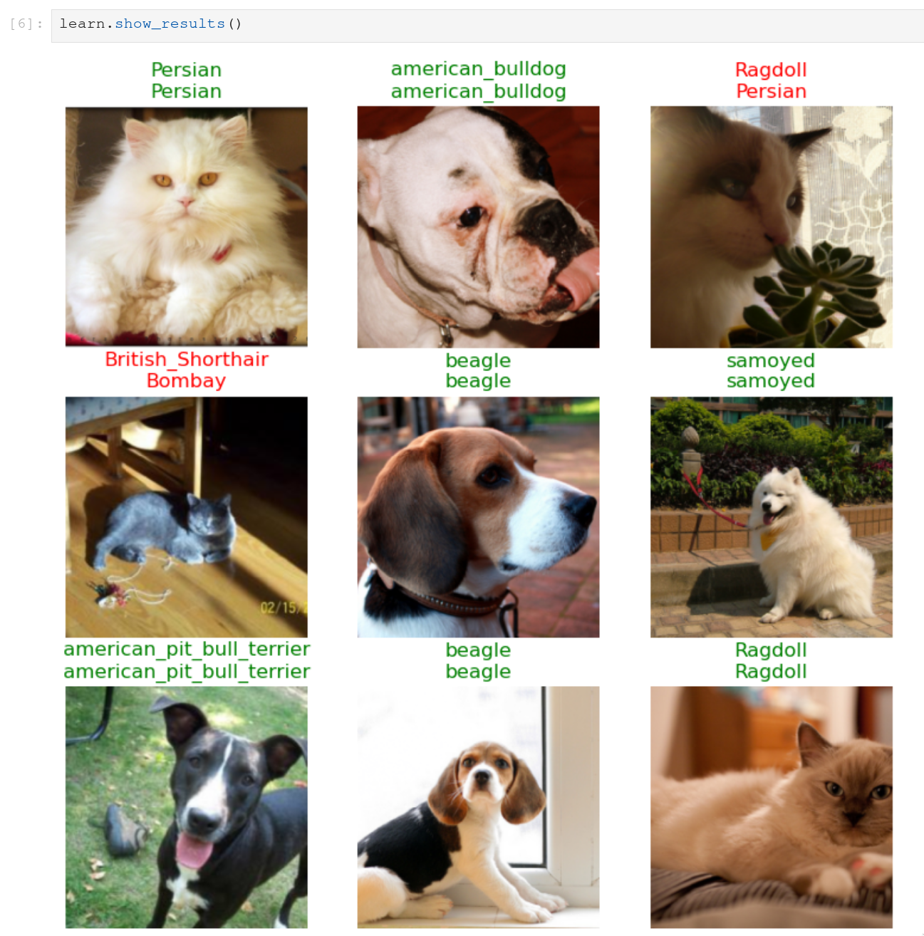 pets